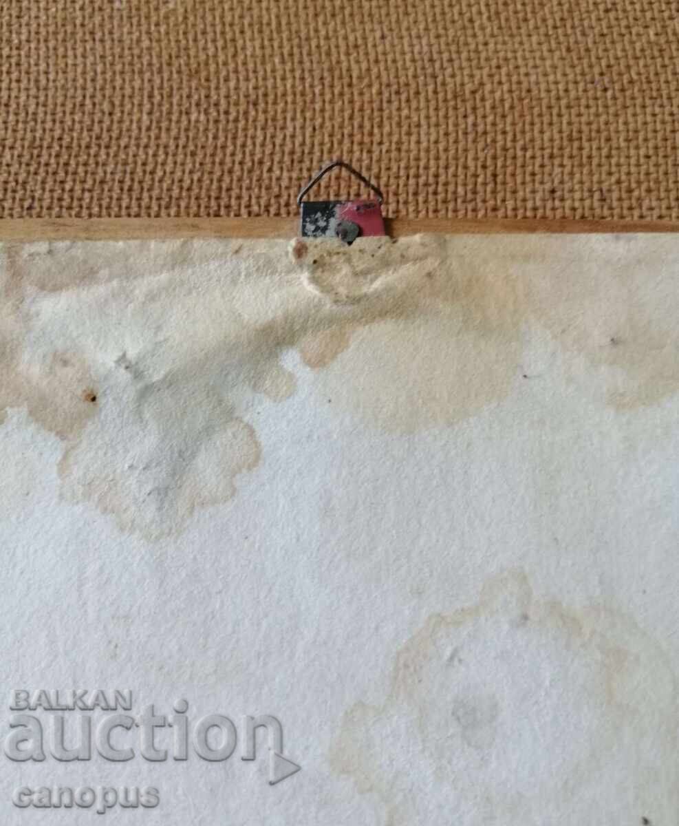 Παράδοση Παλιό Πίνακας με Ξερά Λουλούδια Εικόνα Herbarium Ξύλινο Πλαίσιο 1980