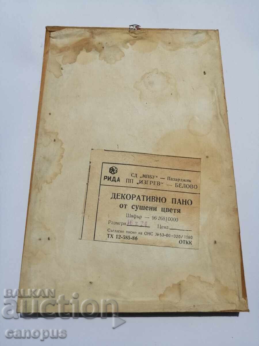 Παλιό Πίνακας με Ξερά Λουλούδια Εικόνα Herbarium Ξύλινο Πλαίσιο 1980 - 5