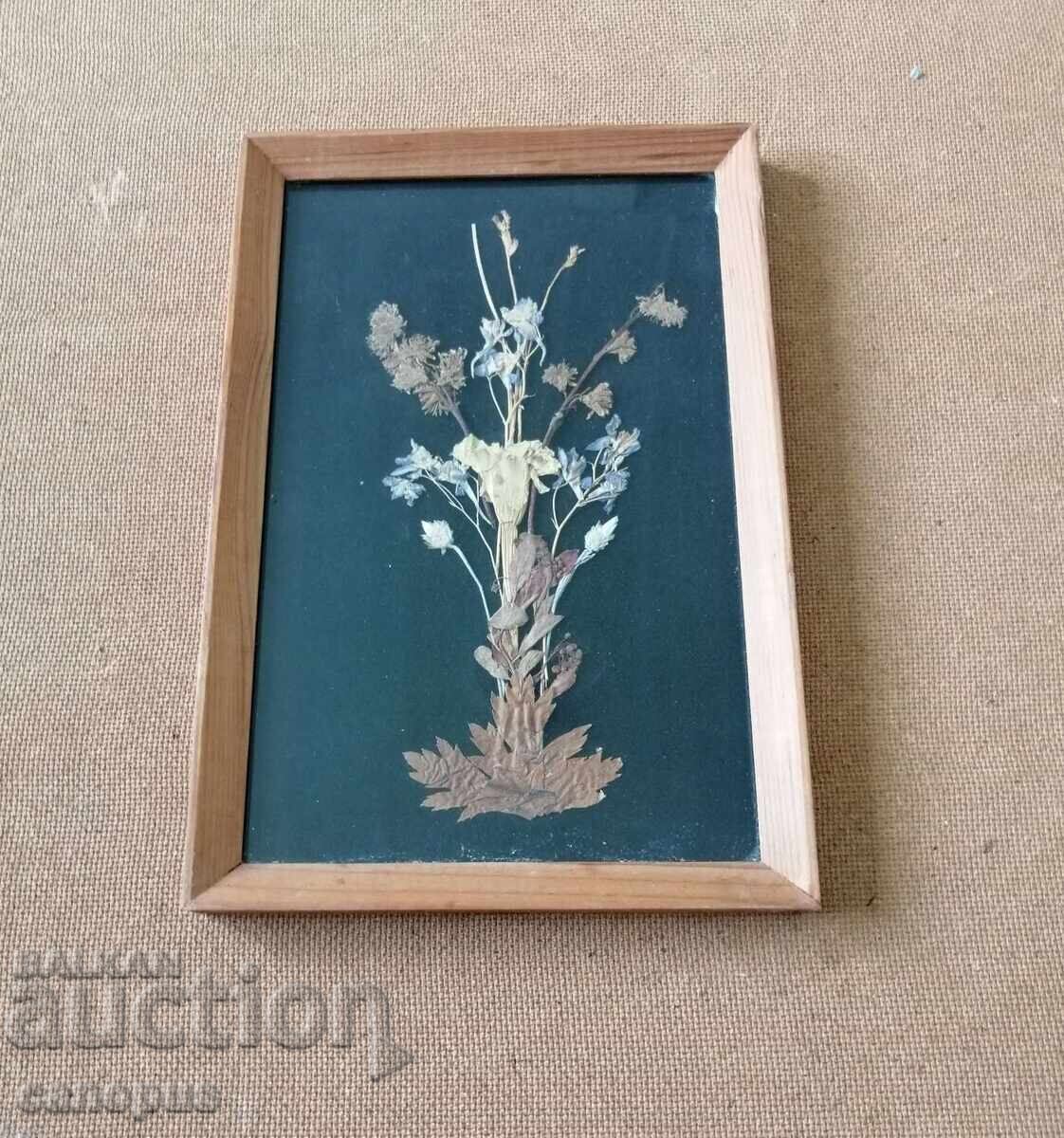 Παλιό Πίνακας με Ξερά Λουλούδια Εικόνα Herbarium Ξύλινο Πλαίσιο 1980 - 6