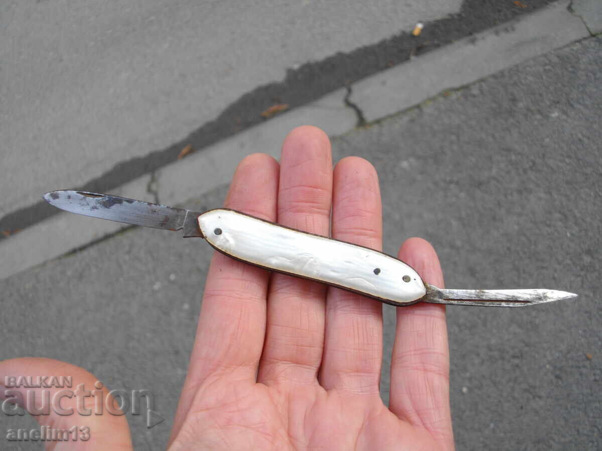 Licitație CUIT DE BUZUUNAR DE COLECȚIE Licitație CUIT DE BUZUUNAR DE COLECȚIE