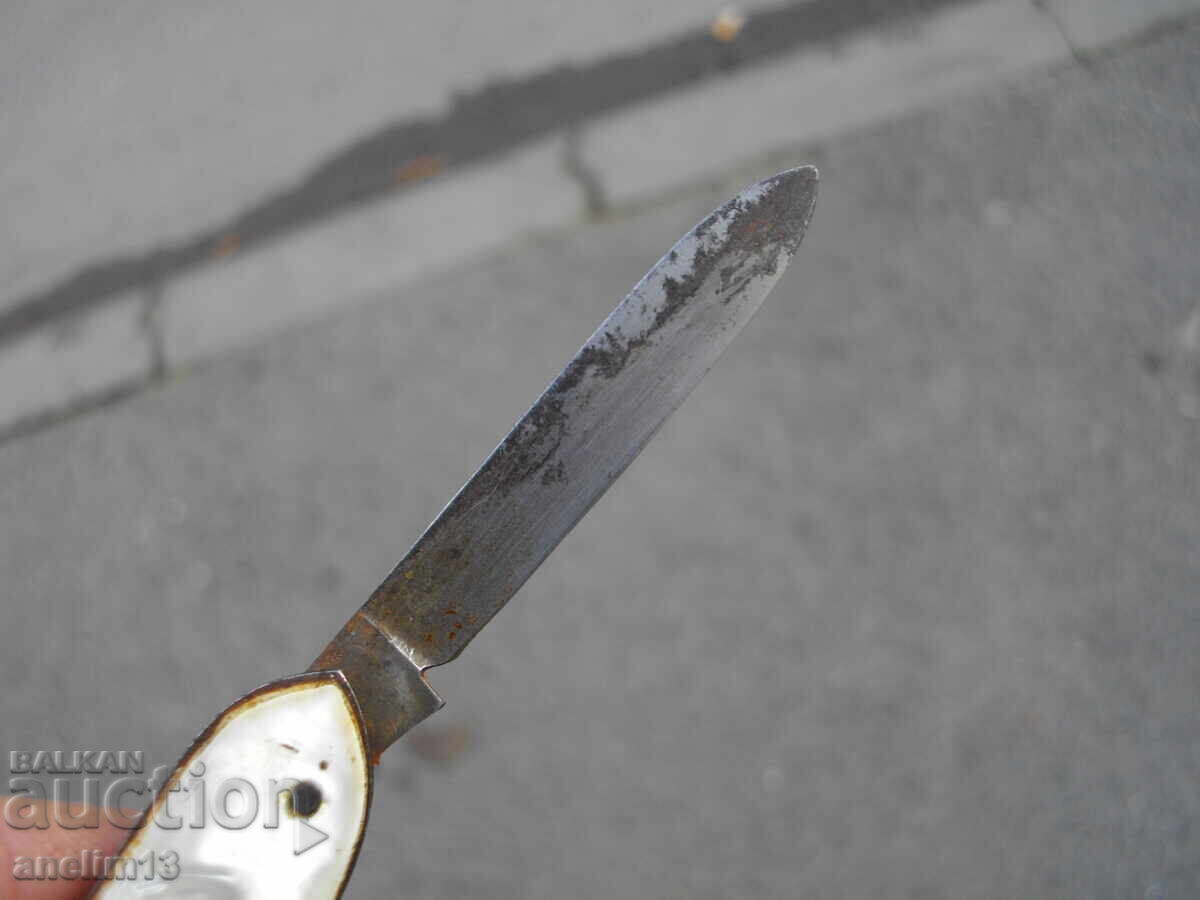 Livrarea CUIT DE BUZUUNAR DE COLECȚIE Livrarea CUIT DE BUZUUNAR DE COLECȚIE