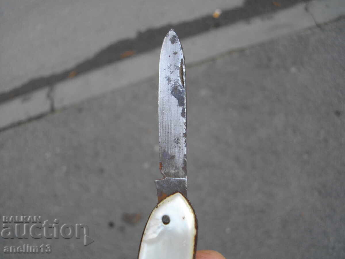 CUIT DE BUZUUNAR DE COLECȚIE - 5