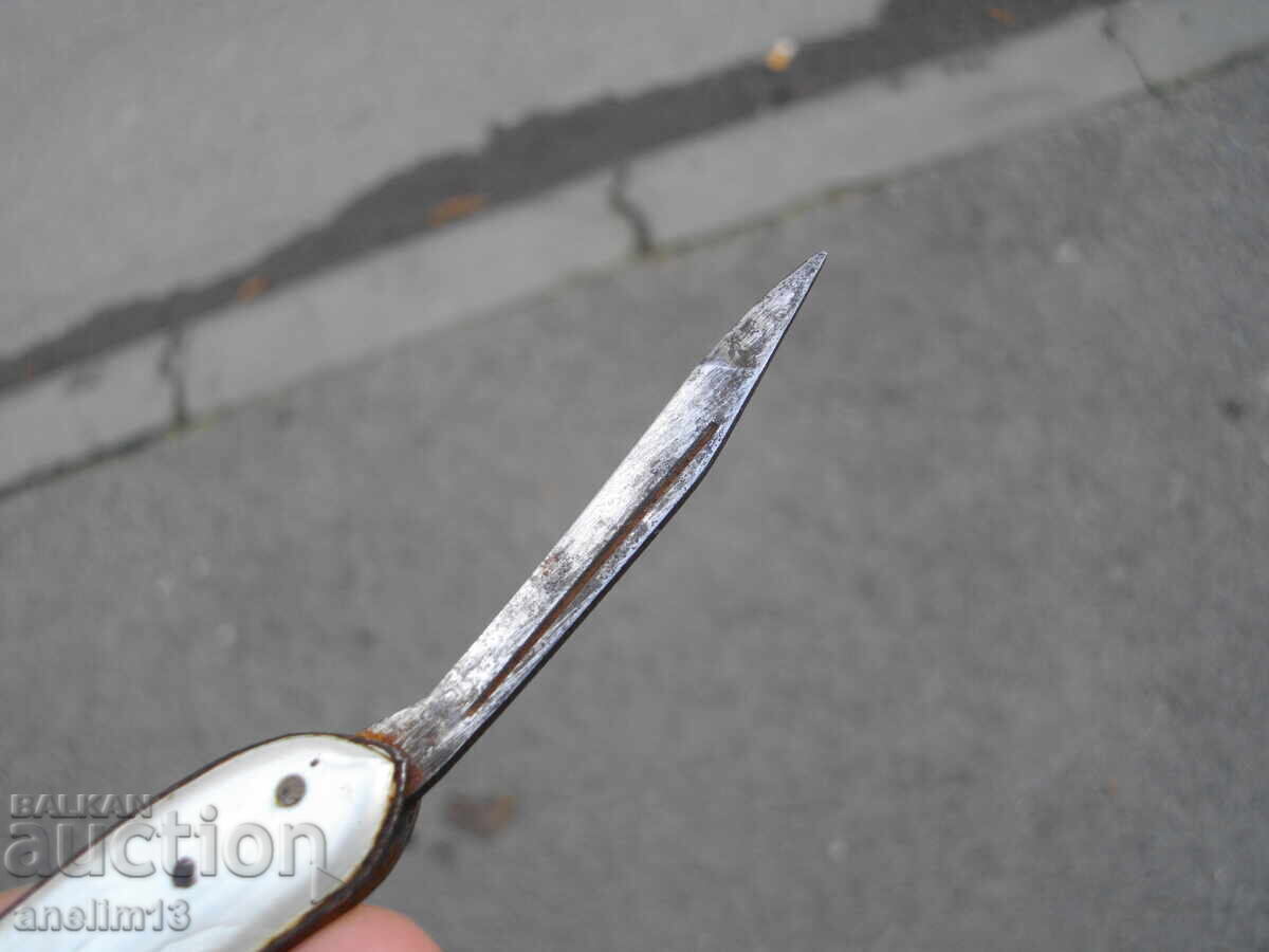 CUIT DE BUZUUNAR DE COLECȚIE - 6