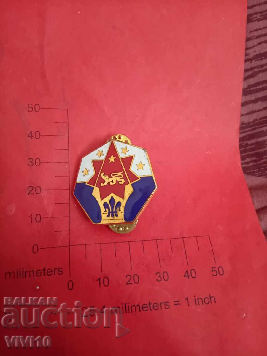 Military badge, enamel, Gold plating, America