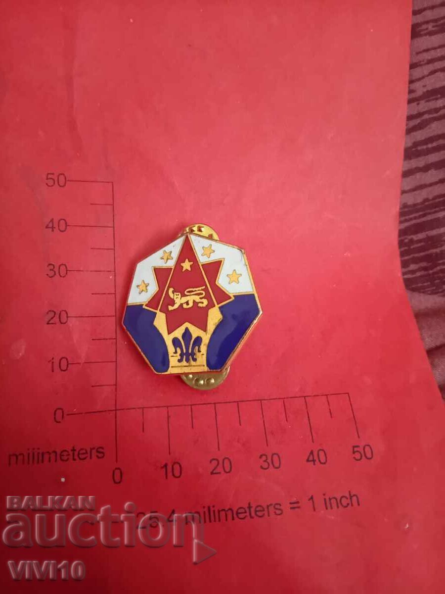 Στρατιωτικό σήμα, σμάλτο, επιχρύσωση, Αμερική Στρατιωτικό σήμα, σμάλτο, επιχρύσωση, Αμερική