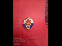 Military badge, enamel, Gold plating, America