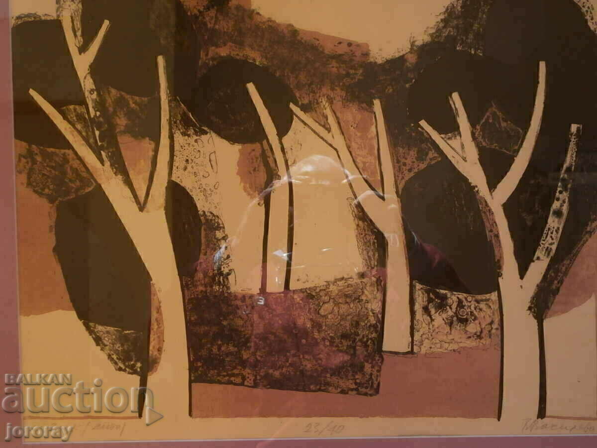 Lithography V. Vasileva with price 450.00 BGN | € 230.08 Lithography V. Vasileva with price 450.00 BGN | € 230.08