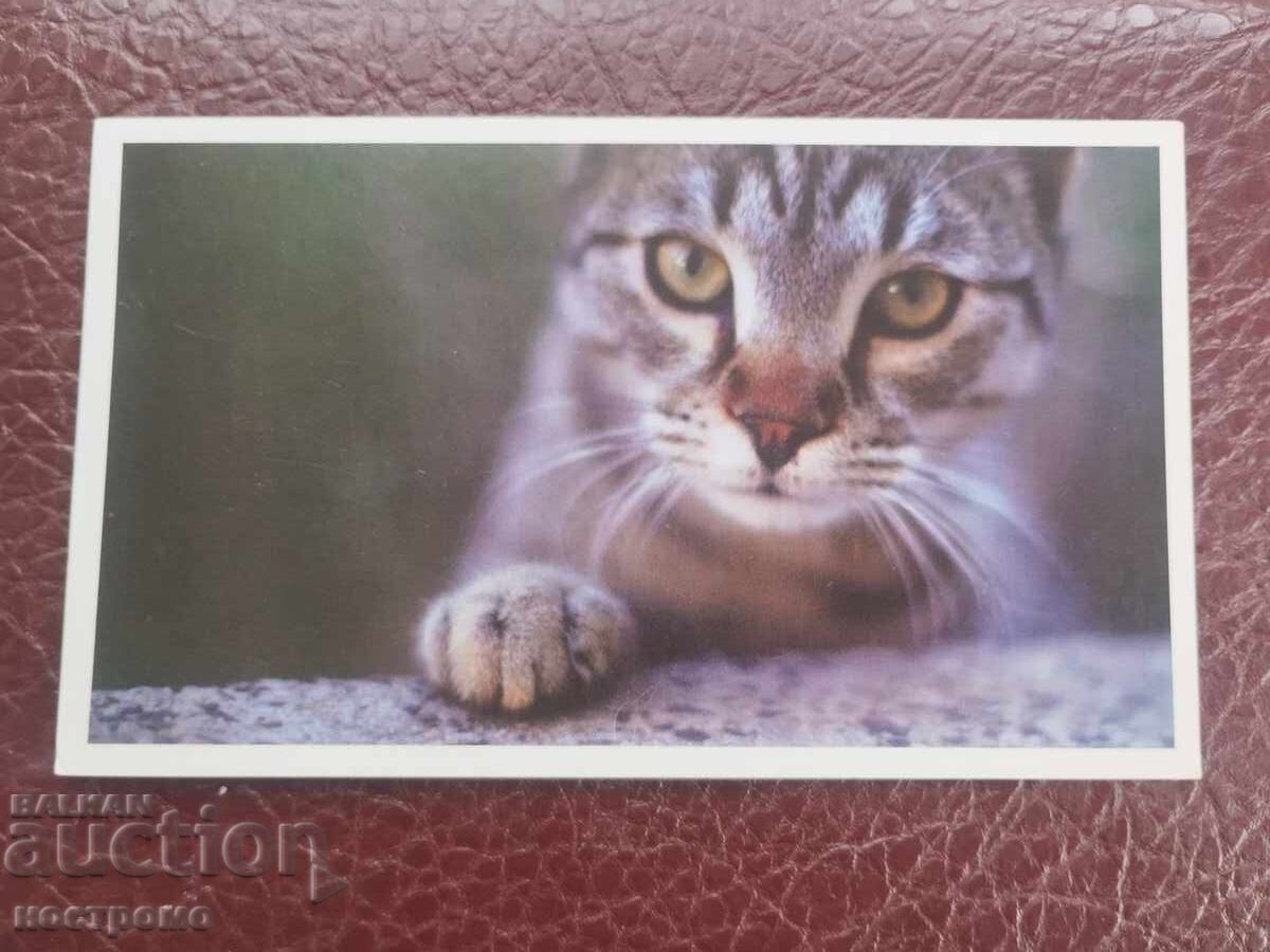 Bŭlgarska poshtenska kartichka - A 5984 Bŭlgarska poshtenska kartichka - A 5984