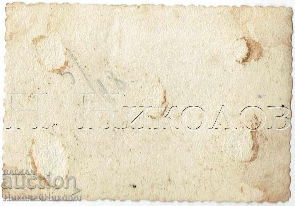 1948 MICĂ POZĂ VECHE VARNA STALIN GRĂDINA MĂRII E688 cu preț 2.00 BGN | € 1.02 1948 MICĂ POZĂ VECHE VARNA STALIN GRĂDINA MĂRII E688 cu preț 2.00 BGN | € 1.02