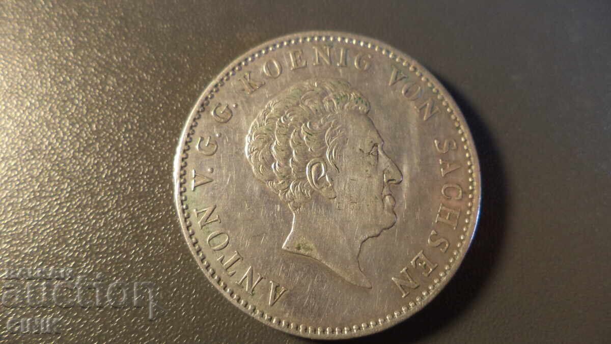 REGATUL SAXONIEI REGATUL SAXONIEI