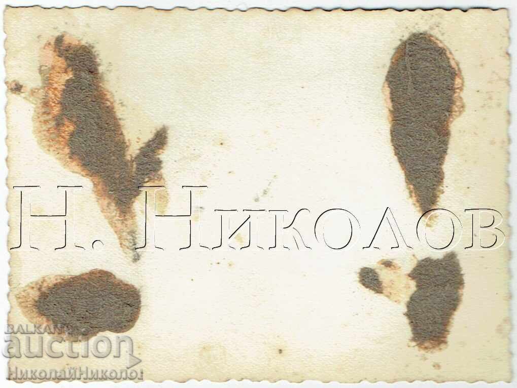 Small Old Photo Varna Technical High School 6th Grade E692 with price 2.00 BGN | € 1.02 Small Old Photo Varna Technical High School 6th Grade E692 with price 2.00 BGN | € 1.02