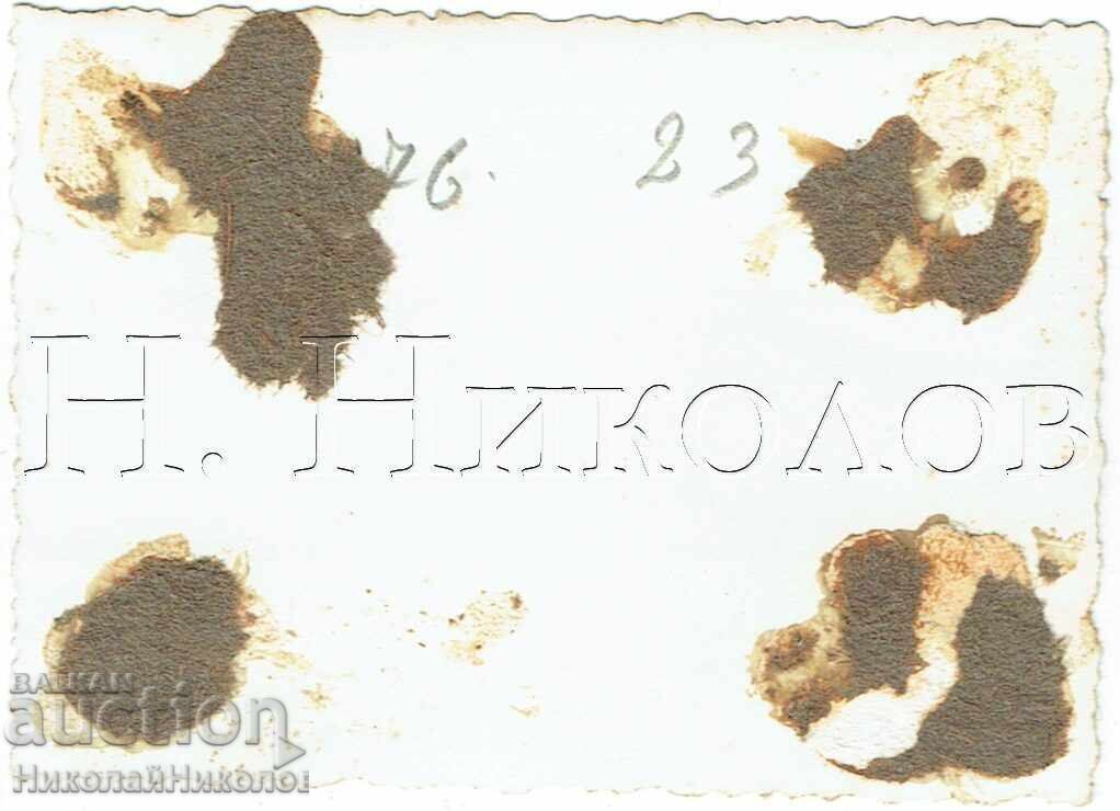 1949 МАЛКА СТАРА СНИМКА ВАРНА МОРСКАТА ГРАДИНА Е695 с цена € 1.00 | 1.96 лв.