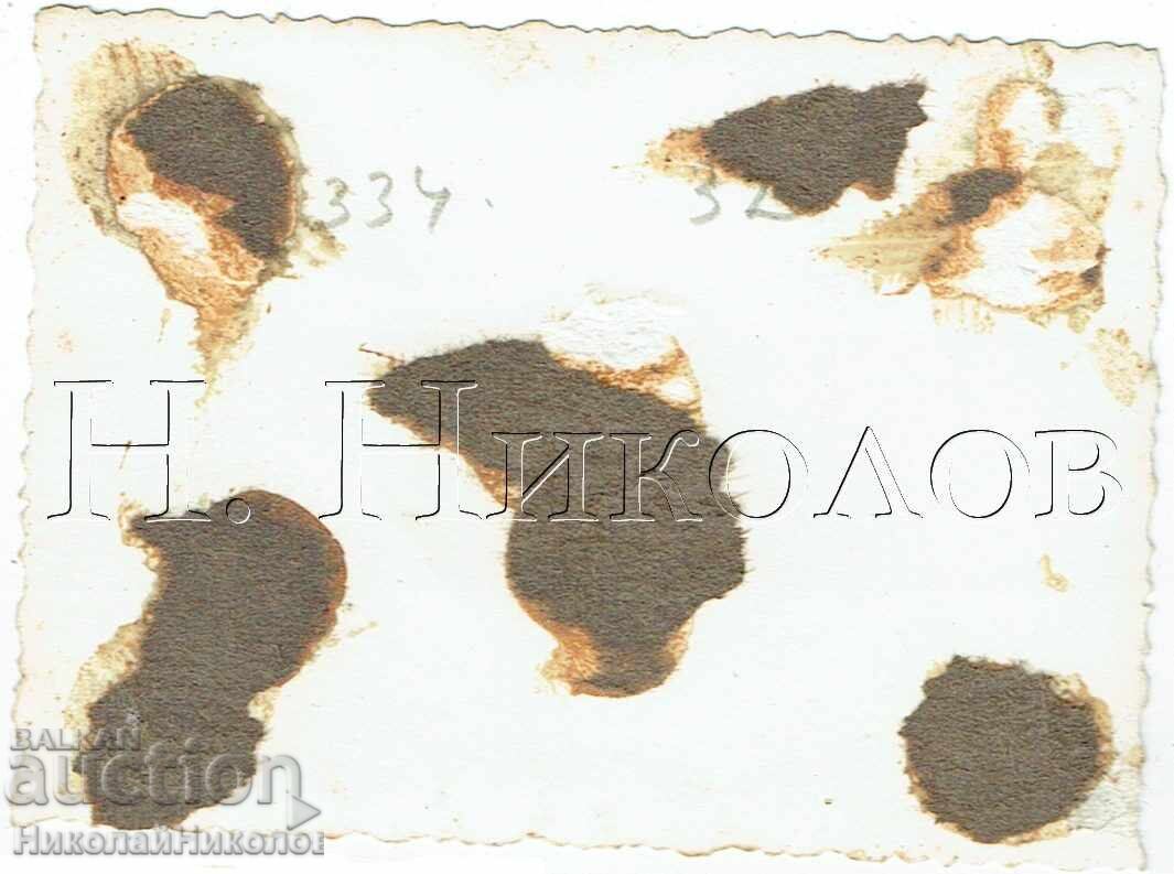 1950 ΜΙΚΡΗ ΠΑΛΙΑ ΦΩΤΟΓΡΑΦΙΑ ΒΑΡΝΑ ΘΑΛΑΣΣΙΟΣ ΚΗΠΟΣ Ε697 με τιμή 2.00 BGN | € 1.02 1950 ΜΙΚΡΗ ΠΑΛΙΑ ΦΩΤΟΓΡΑΦΙΑ ΒΑΡΝΑ ΘΑΛΑΣΣΙΟΣ ΚΗΠΟΣ Ε697 με τιμή 2.00 BGN | € 1.02