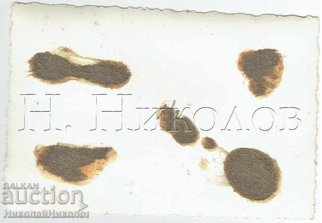 1950 МАЛКА СТАРА СНИМКА ВАРНА ТЕХН. ГИМНАЗИЯ VII КЛАС Е704 с цена 2.00 лв. | € 1.02