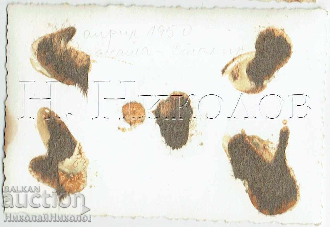 1950 МАЛКА СТАРА СНИМКА ВАРНА ТРАКАТА ГИМНАЗИСТИ Е705 с цена 2.00 лв. | € 1.02