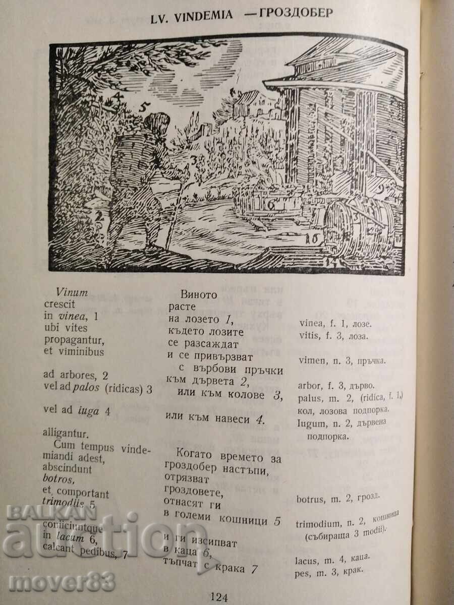 The Sensory World in Pictures. Jan Comenius - 7