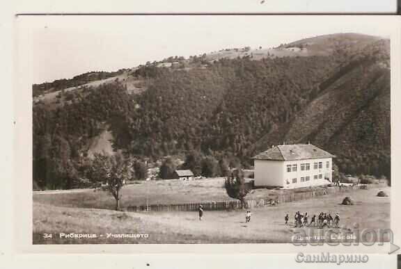 Κάρτα Βουλγαρίας, χωριό Ρίμπανιτσα, Τέτεβεν, Σχολείο*