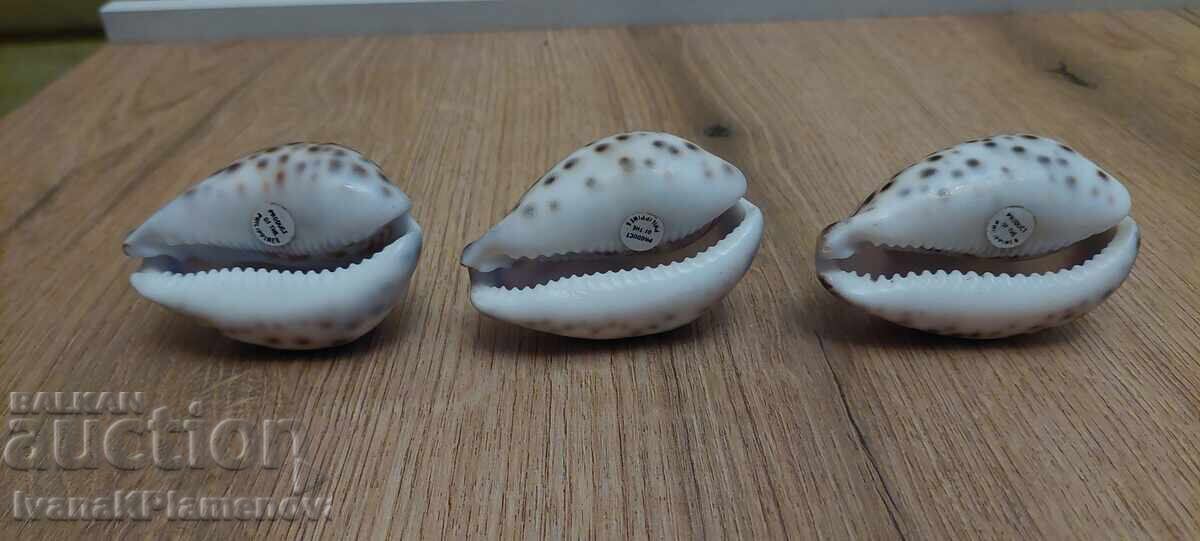 Τρεις σκαλιστές νεροχύτες για γνώστες - 5