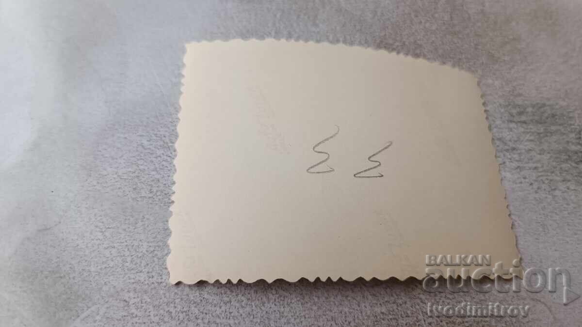 Φωτογραφία Σκοπίων με τον ποταμό Βαρδάρη με τιμή 2.35 BGN | € 1.20