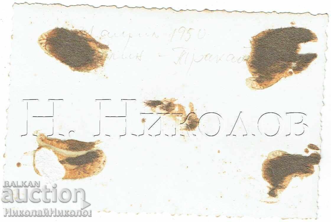 1950 FOTOGRAFIE MICĂ VECHE VARNA TRACATA GIMNAZIASTI CLASA VII E708 cu preț € 1.00 | 1.96 BGN