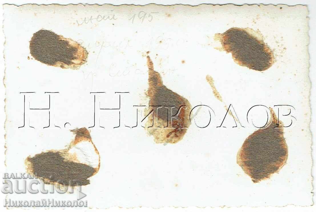 МАЛКА СТАРА СНИМКА ВАРНА ГИМНАЗИСТИ В ЧАС Е712 с цена 2.00 лв. | € 1.02