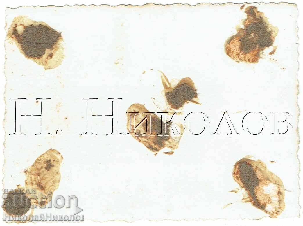 ΜΙΚΡΗ ΠΑΛΙΑ ΦΩΤΟΓΡΑΦΙΑ ΒΑΡΝΑ ΜΑΘΗΤΕΣ ΓΥΜΝΑΣΙΟΥ ΣΕ ΜΑΘΗΜΑ ΡΩΣΙΚΗΣ ΓΛΩΣΣΑΣ Ε713 με τιμή 2.00 BGN | € 1.02