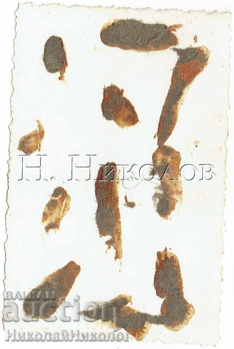 МАЛКА СТАРА СНИМКА ВАРНА ГИМНАЗИСТИ С УЧИТЕЛ НА ПОЛЕТО Е714 с цена 2.00 лв. | € 1.02