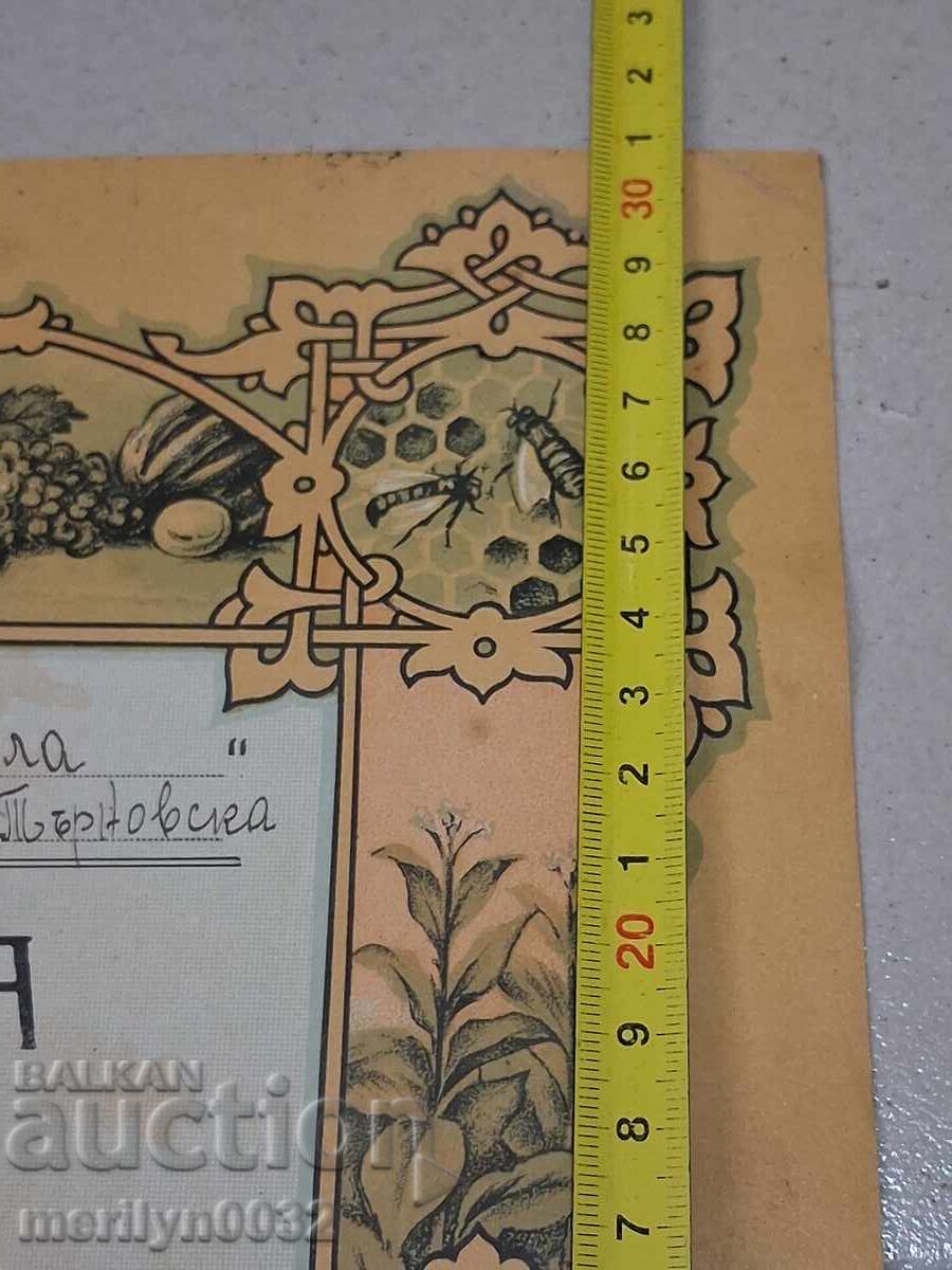 Acțiune 200 leva Co-op "Musala" s. Bucovăț V. Tărnovo obligațiune - 5 Acțiune 200 leva Co-op "Musala" s. Bucovăț V. Tărnovo obligațiune - 5