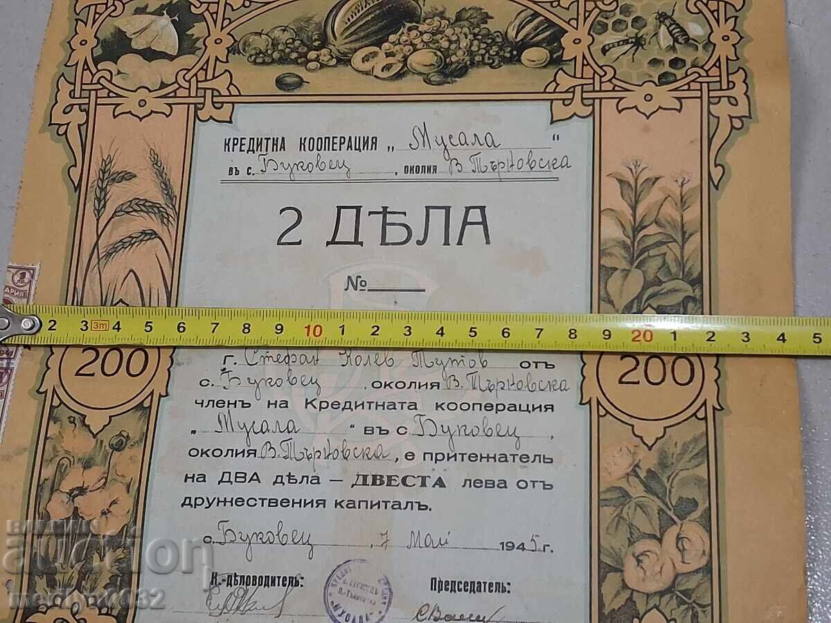 Acțiune 200 leva Co-op "Musala" s. Bucovăț V. Tărnovo obligațiune - 6 Acțiune 200 leva Co-op "Musala" s. Bucovăț V. Tărnovo obligațiune - 6
