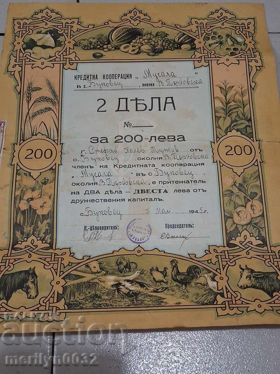 Acțiune 200 leva Co-op "Musala" s. Bucovăț V. Tărnovo obligațiune Acțiune 200 leva Co-op "Musala" s. Bucovăț V. Tărnovo obligațiune
