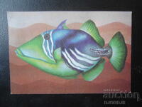 Old Bulgarian Calendar, 1984