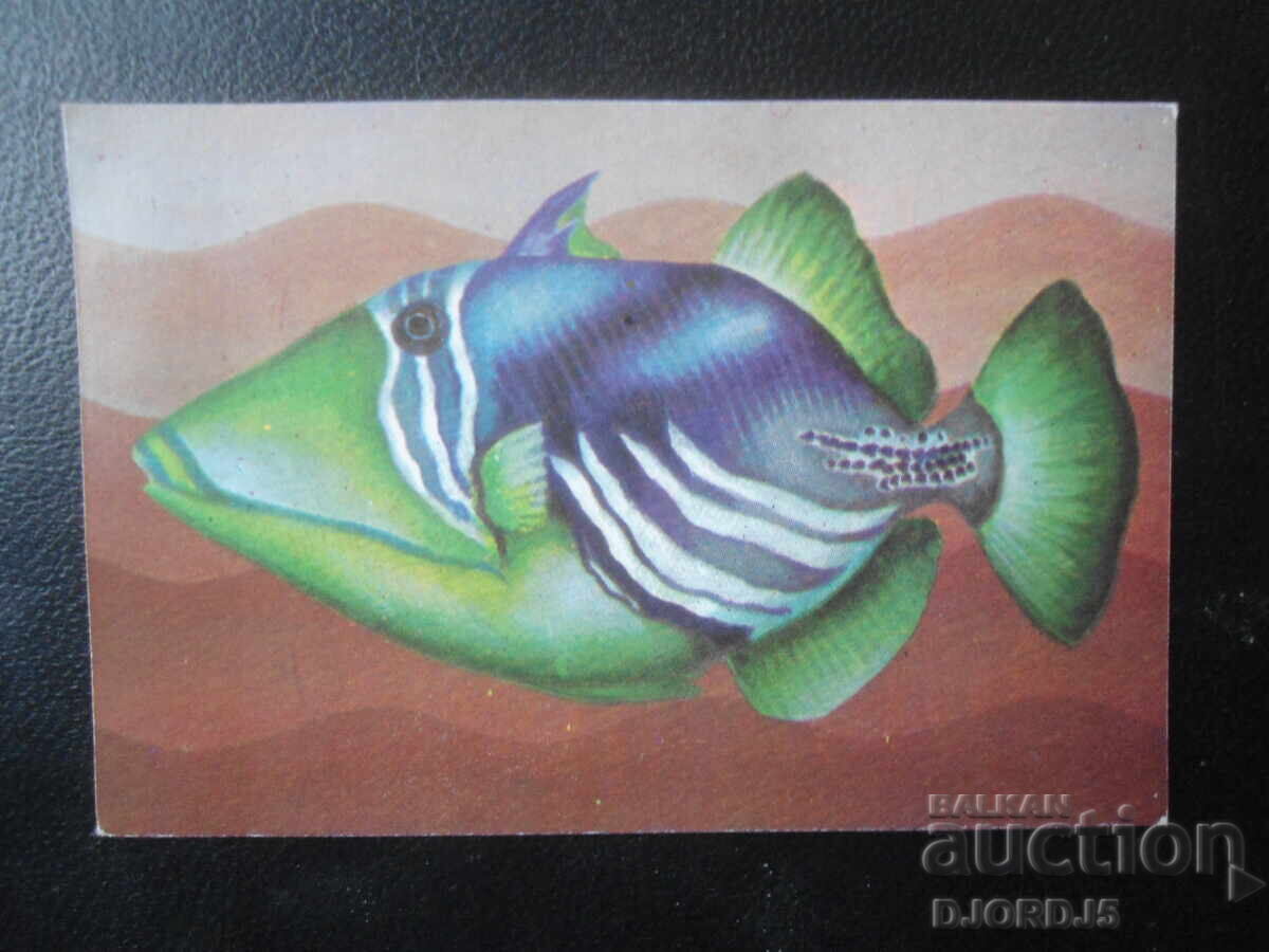 Παλαιό βουλγαρικό ημερολόγιο, 1984 Παλαιό βουλγαρικό ημερολόγιο, 1984