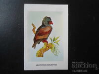 Old Bulgarian Calendar, 1983