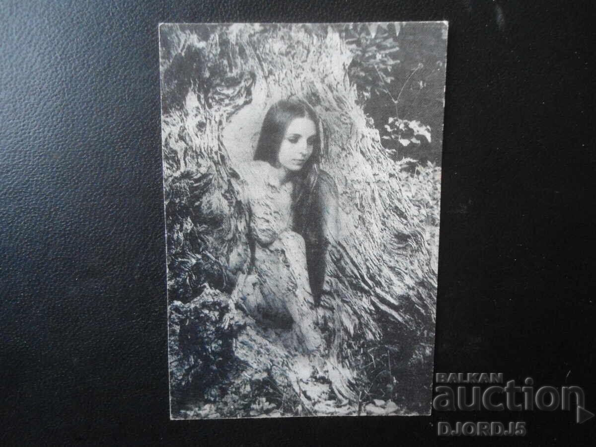 Старо календарче, 1993 г. Старо календарче, 1993 г.