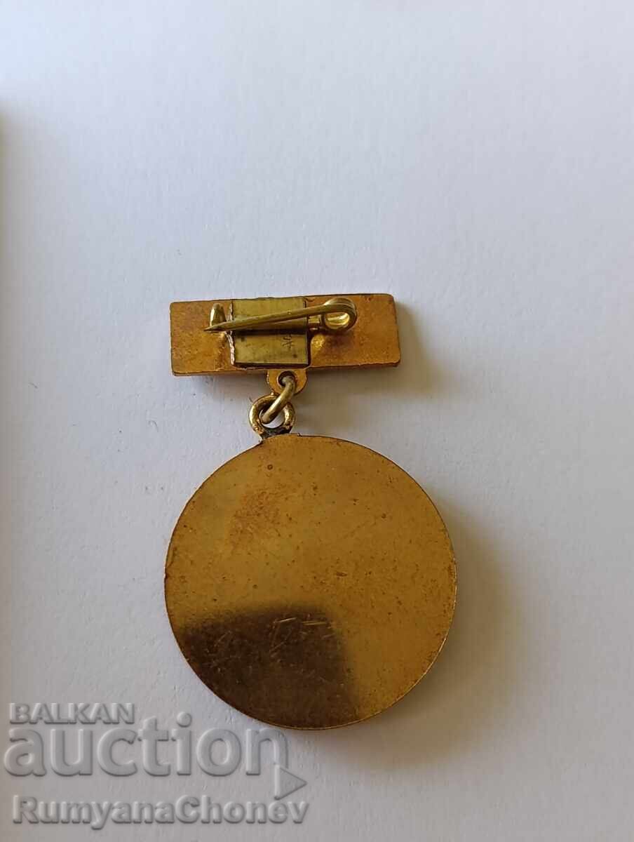 Excellent Student Medals - 5 Excellent Student Medals - 5