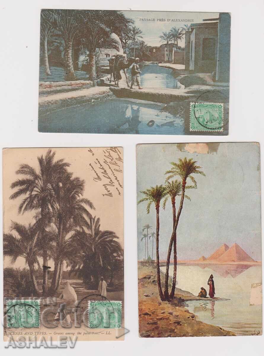 Egypt 3 postcards traveled 1913 Egypt 3 postcards traveled 1913