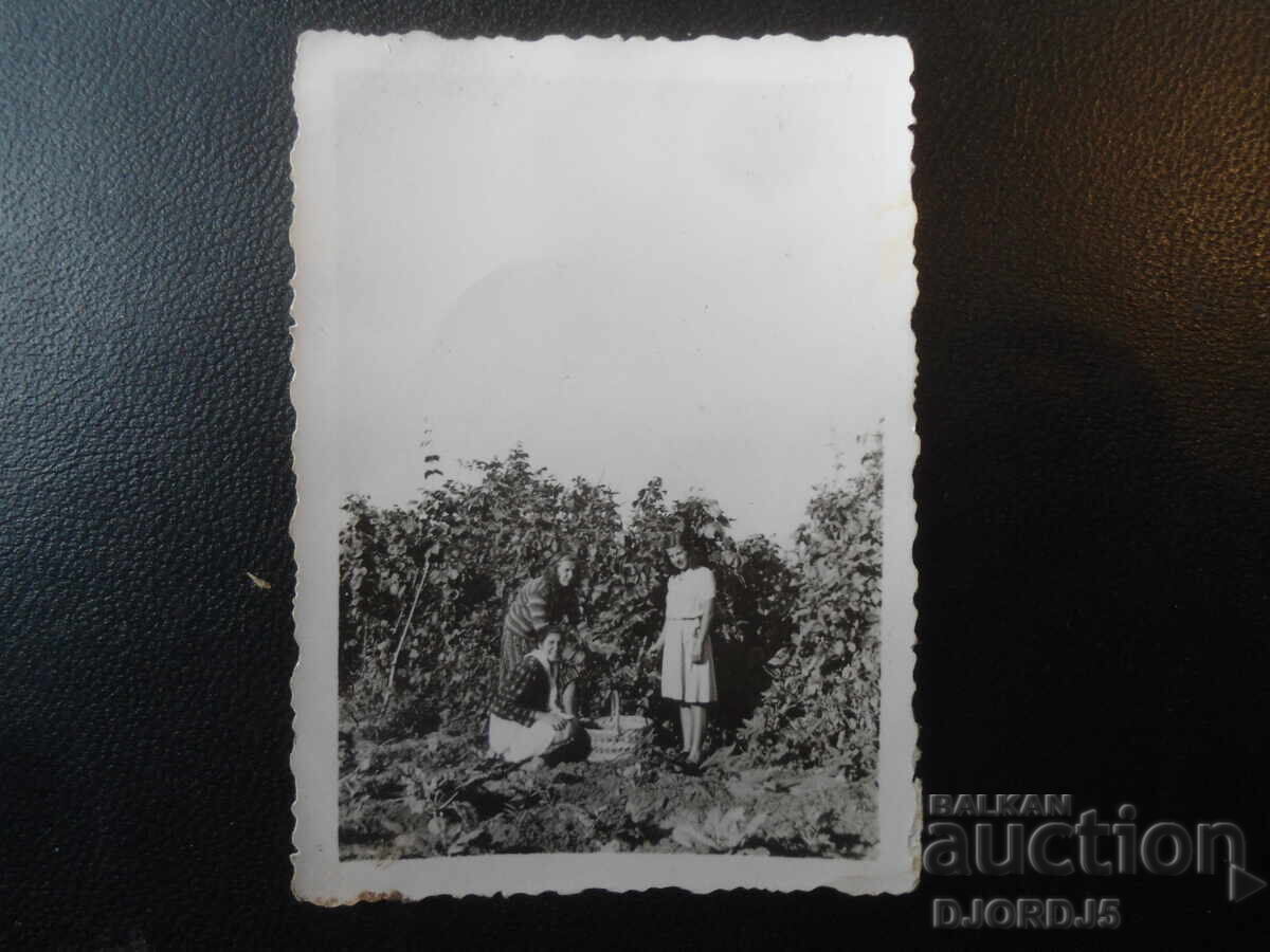 Old photo, 19.IX.1942, Sliven Old photo, 19.IX.1942, Sliven