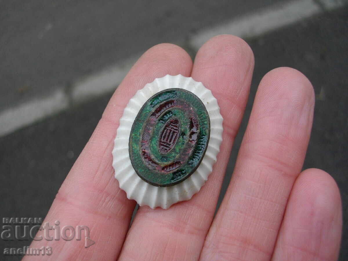 Βασιλική Κόκαρδα - 5