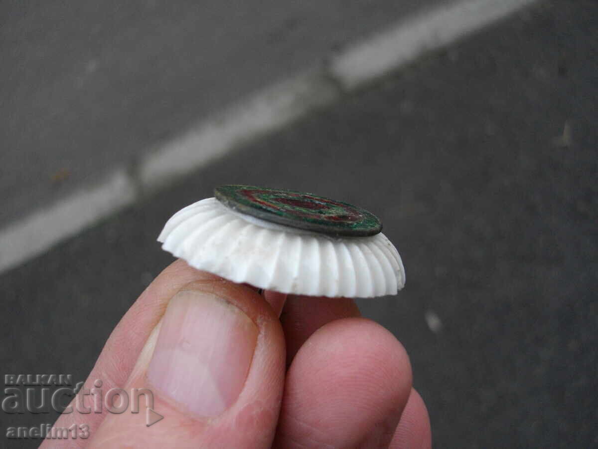 Βασιλική Κόκαρδα - 6