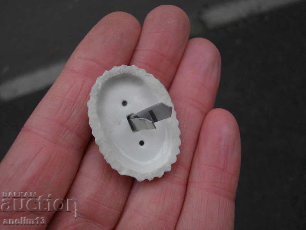 Βασιλική Κόκαρδα - 7