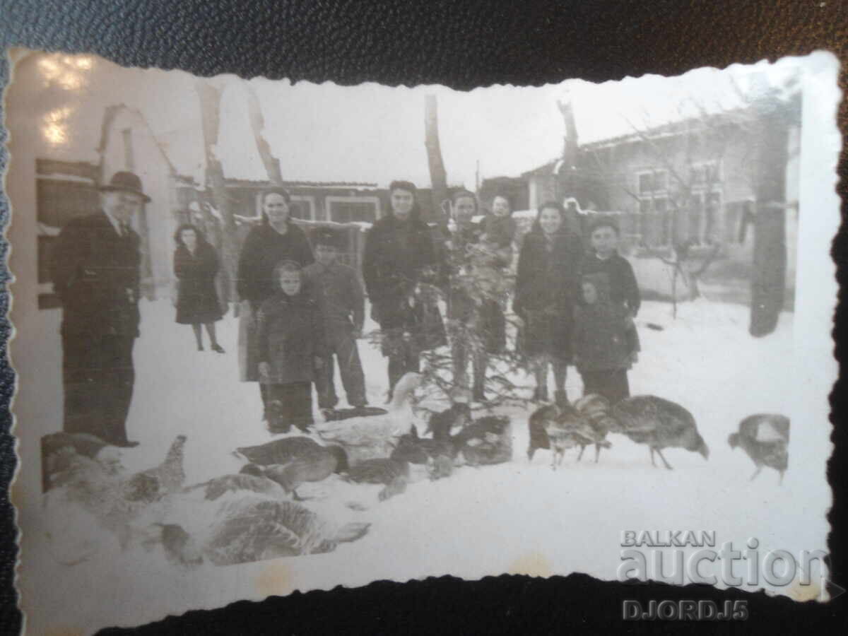 Стара снимка, 1945 г., София, На двора сред пилците Стара снимка, 1945 г., София, На двора сред пилците