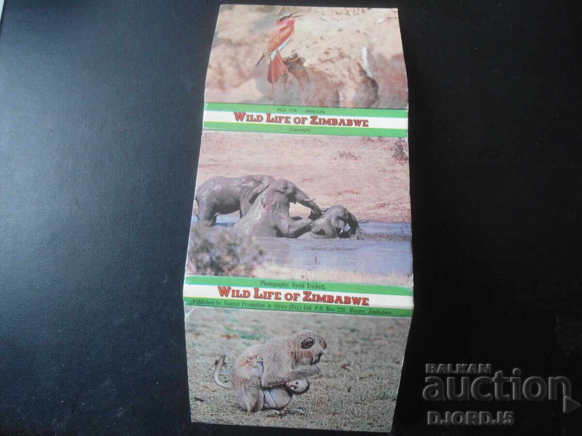 WILD LIFE OF ZIMBABWE, Стари картички, 20 броя, диплянка с цена 3.00 лв. | € 1.53