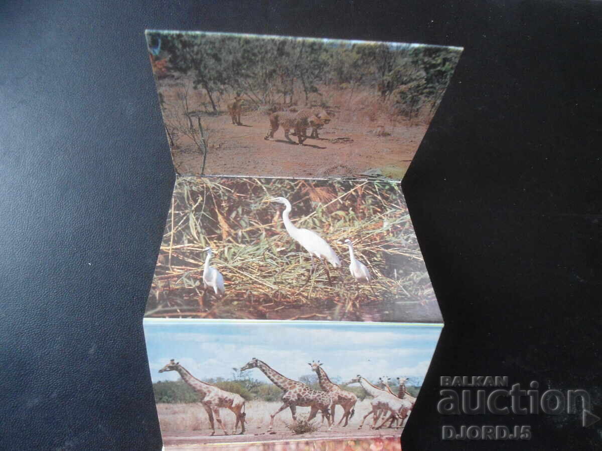 Аукцион WILD LIFE OF ZIMBABWE, Стари картички, 20 броя, диплянка