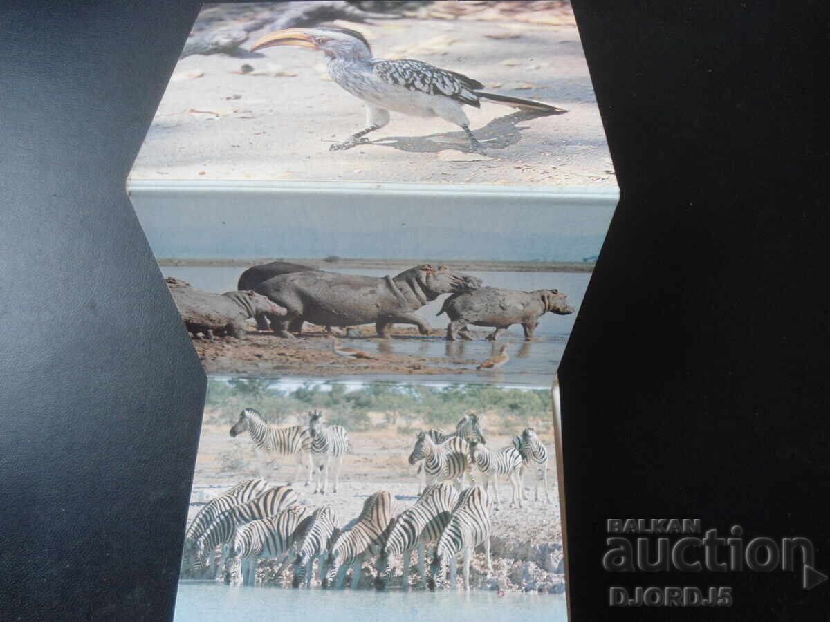 WILD LIFE OF ZIMBABWE, Стари картички, 20 броя, диплянка - 6