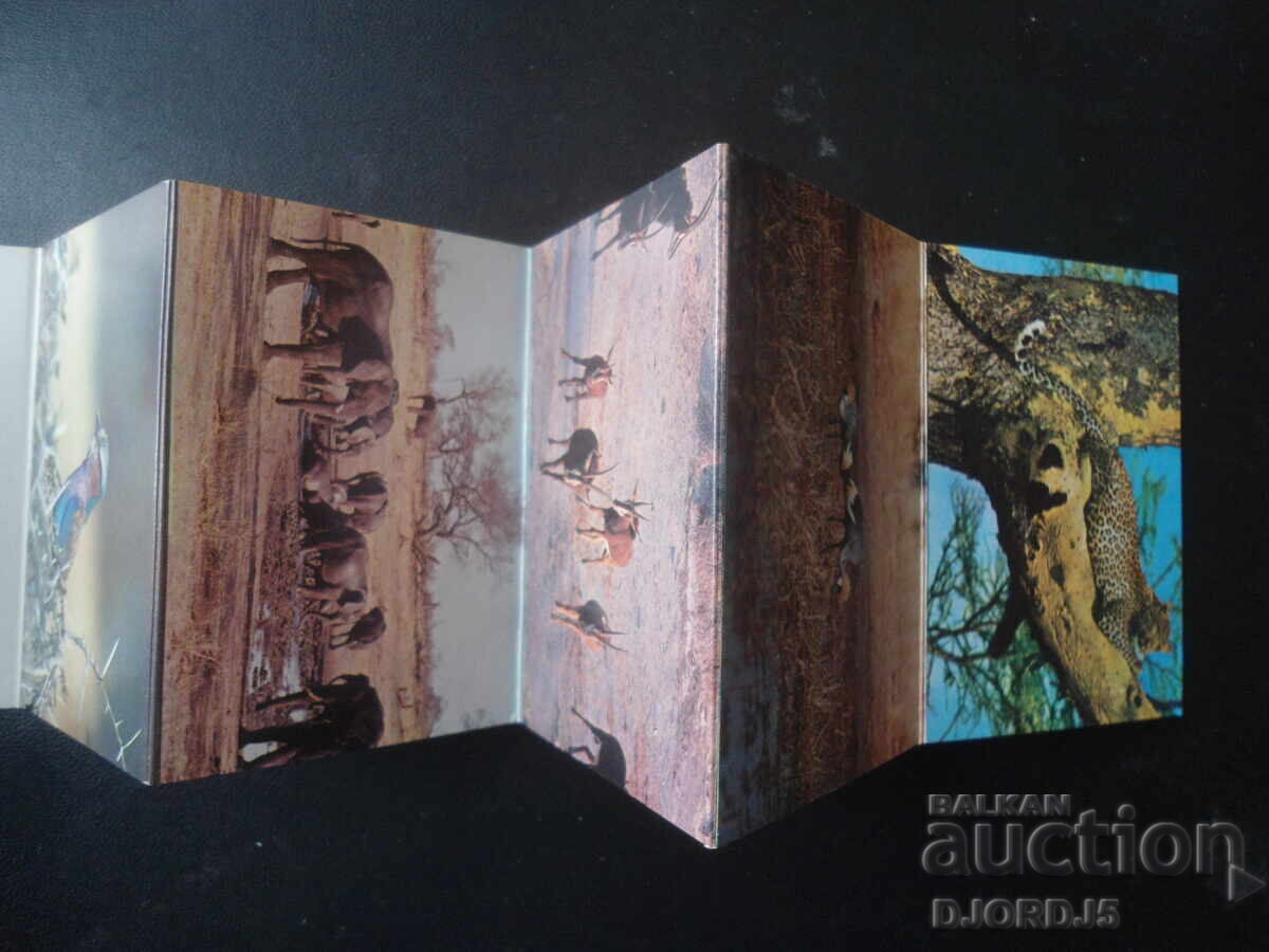 WILD LIFE OF ZIMBABWE, Стари картички, 20 броя, диплянка - 7