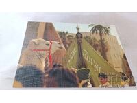 Пощенска картичка Либия 1986