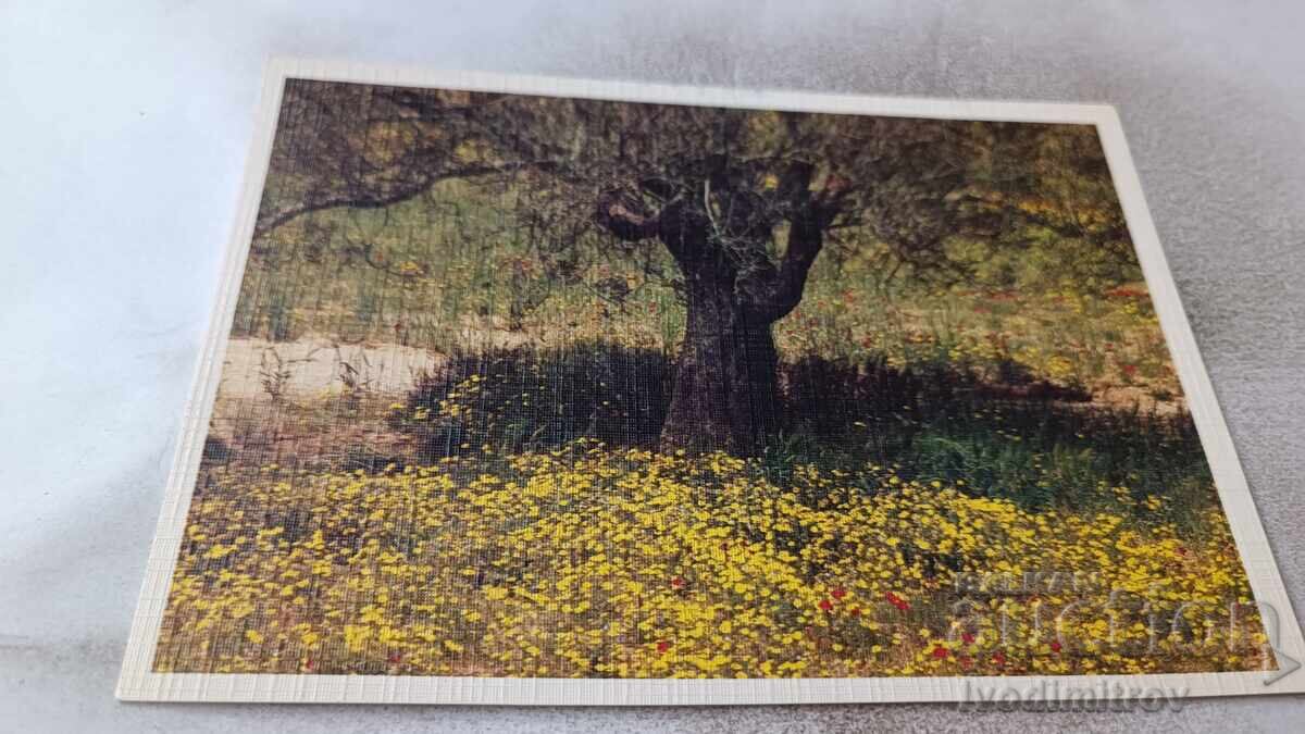 Ταχυδρομική κάρτα Λιβύη 1986 Ταχυδρομική κάρτα Λιβύη 1986