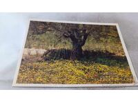 Пощенска картичка Либия 1986