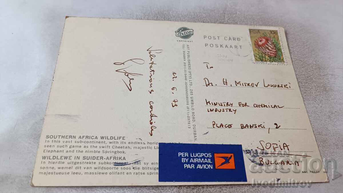 Postcard Southern Africa Wild Life 1979 with price 0.95 BGN | € 0.49 Postcard Southern Africa Wild Life 1979 with price 0.95 BGN | € 0.49