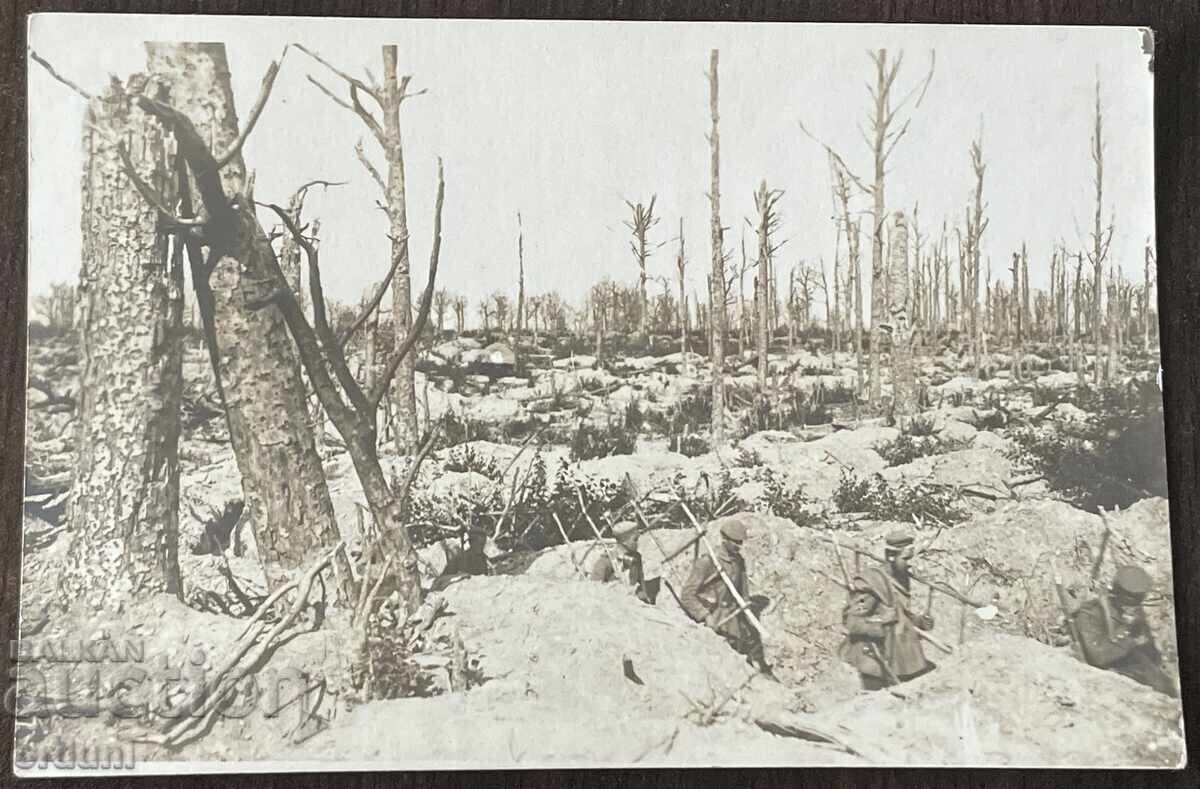 5209 Kingdom of Bulgaria destroyed military trenches German soldiers 5209 Kingdom of Bulgaria destroyed military trenches German soldiers